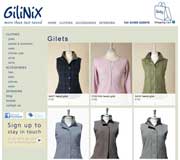 Gilinix Website Design