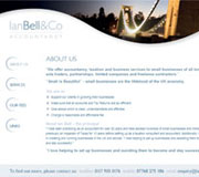 Ian Bell & Co Website Design